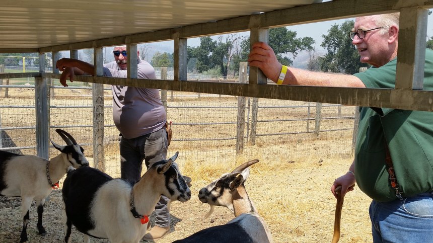 29942519108_f17dba2c87_k