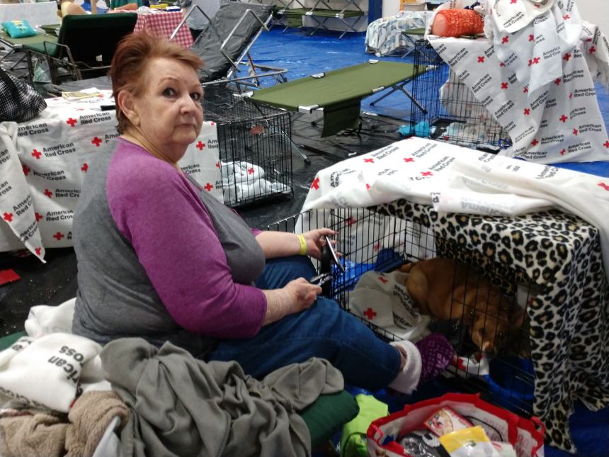 42004362960_644f8a4c2d_k