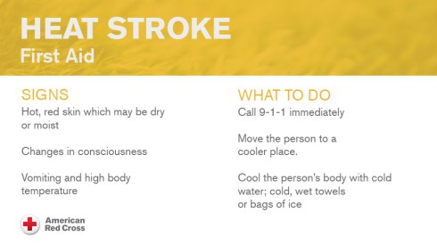 heat-stroke