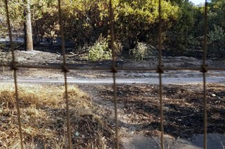 Fleisher fire photo420x279