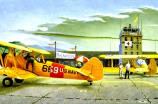 yellow-birds_420x279