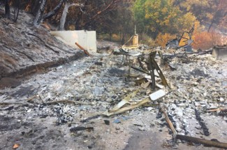 linnea-dunn2_420x279